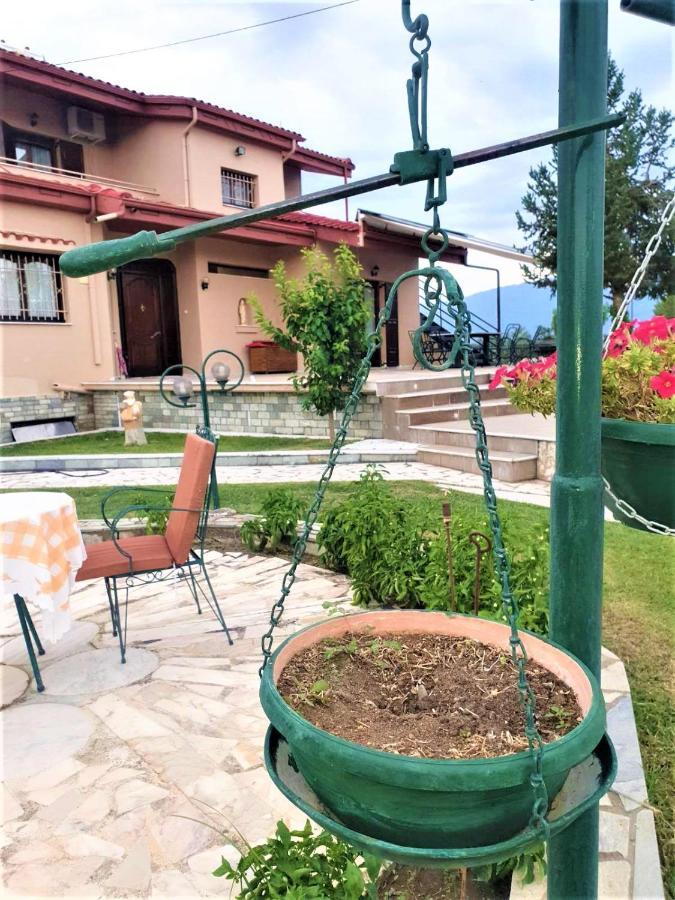 Alesta Apartment Trikala (Thessaly)